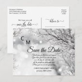 冬の雪の結晶 ウェディング SAVE THE DATE 案内ポストカード (正面/裏面)