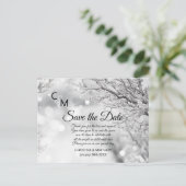冬の雪の結晶 ウェディング SAVE THE DATE 案内ポストカード (スタンド正面)