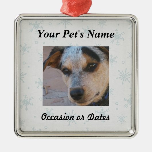 冬の雪の背景が付いているペット写真 メタルオーナメント (正面)