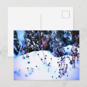 冬の雪の花の頭の木々自然 ポストカード (正面/裏面)
