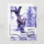 冬の雪の葉書にブリスレコーンパイン ポストカード (正面/裏面)