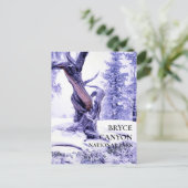 冬の雪の葉書にブリスレコーンパイン ポストカード (スタンド正面)