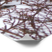 冬の雪の赤いキツネ ポスター (角)