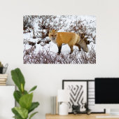 冬の雪の赤いキツネ ポスター (ホームオフィス)