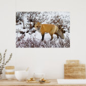 冬の雪の赤いキツネ ポスター (キッチン)