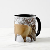 冬の雪の赤いキツネ マグカップ (正面右)