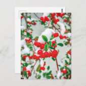 冬の雪の赤い果実はがき ポストカード (正面/裏面)