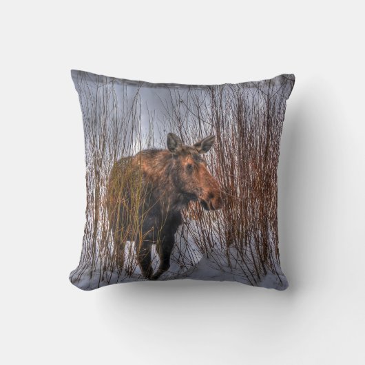 冬の雪の野生のカナダのムース牛 クッション (正面)