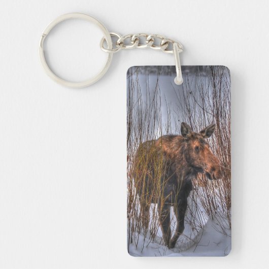 冬の雪の野生のカナダのムース牛I キーホルダー (正面)