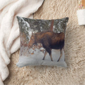 冬の雪の野生カナダのムース牛V クッション (ブランケット)