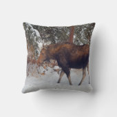 冬の雪の野生カナダのムース牛V クッション (裏面)