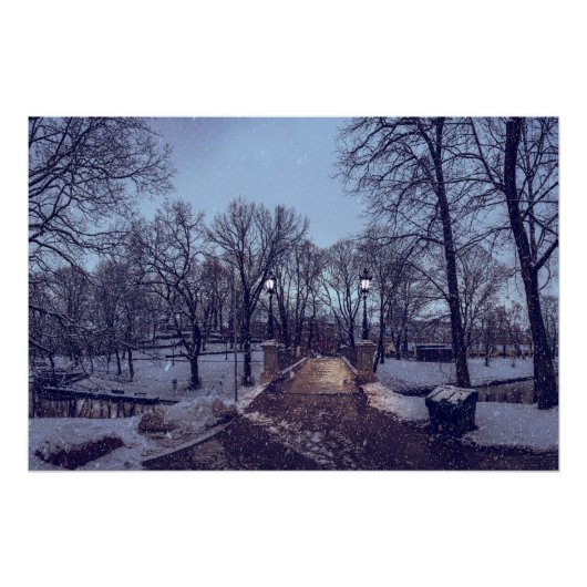 冬の雪の降る市立公園の夜景 ポスター (正面)
