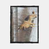 冬の雪のGSD フリースブランケット (正面)