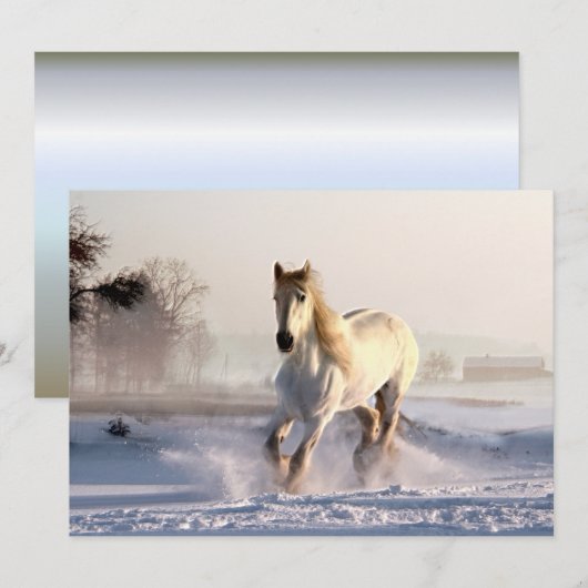 冬の雪を駆ける白馬 (正面/裏面)