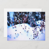 冬の雪フラワーヘッズツリー自然 ポストカード (正面/裏面)