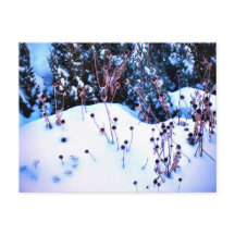 冬の雪フラワーヘッズツリー自然