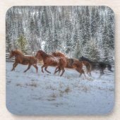 冬の雪ランニングの馬の群れ コースター (正面)