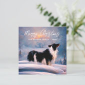 冬の雪景色のボーダーコリー クリスマス (スタンド正面)