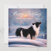 冬の雪景色のボーダーコリー クリスマス (正面)