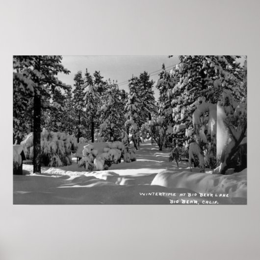 冬の雪景色の中のビッグ・ベア湖 ポスター (正面)