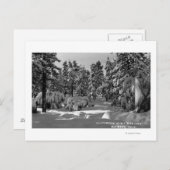 冬の雪景色の中のビッグ・ベア湖 ポストカード (正面/裏面)