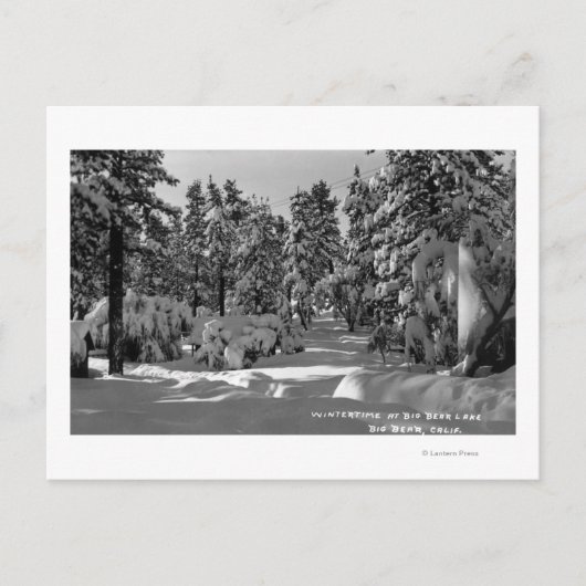 冬の雪景色の中のビッグ・ベア湖 ポストカード (正面)