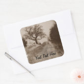 冬の雪景色の写真 スクエアシール (封筒)