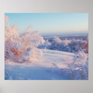 冬の雪景色フォト自然ウォールポスター ポスター