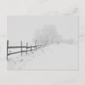 冬の雪景色 ポストカード (正面)