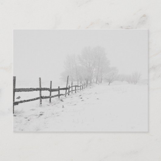 冬の雪景色 ポストカード (正面)