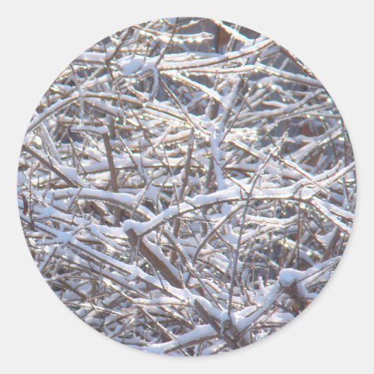 冬の雪氷枝 ラウンドシール (正面)