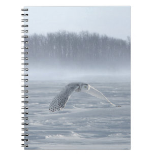 冬の雪飛んでいるフクロウ ノートブック