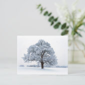 冬の雪/クリスマスツリーの休日はがき シーズンポストカード (スタンド正面)