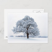 冬の雪/クリスマスツリーの休日はがき シーズンポストカード (正面/裏面)