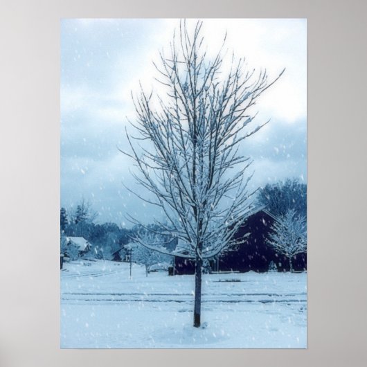 冬の雪 ポスター (正面)