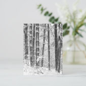 冬の雪 ポストカード (スタンド正面)