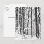 冬の雪 ポストカード (正面/裏面)
