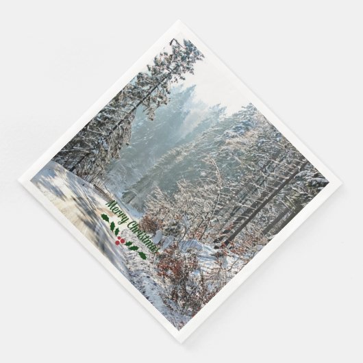 冬の雪、メリークリスマス (コーナー)