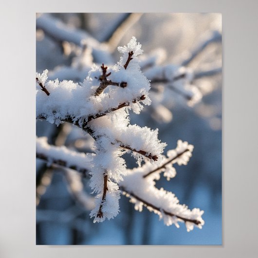 冬の雪 凍った木の枝と陽の光 ポスター (正面)
