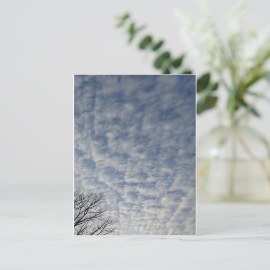 冬の雲 ポストカード (スタンド正面)