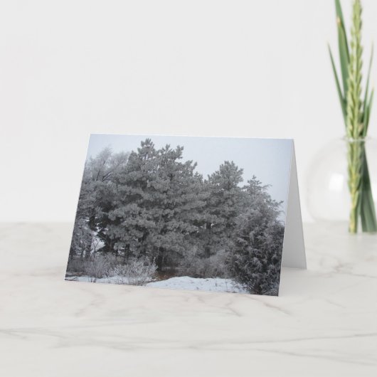 冬の霜の降りたワンダーランド シーズンカード (正面)