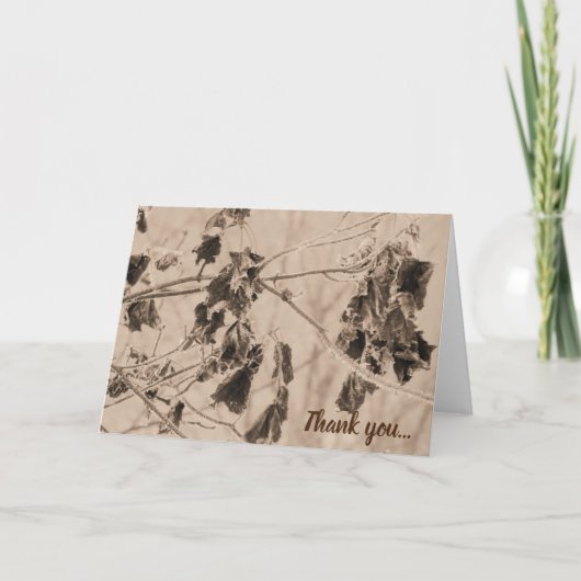 冬の霜オン離れズセピア サンキューカード (正面)