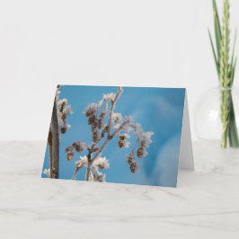 冬の霜 シーズンカード