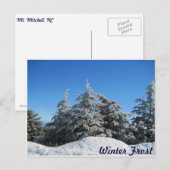 冬の霜 ポストカード (正面/裏面)