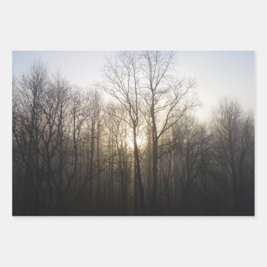 冬の霧サンライズ自然写真 ラッピングペーパーシート (正面)