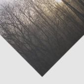 冬の霧サンライズ自然写真 薄葉紙 (詳細)