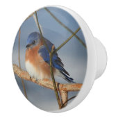 冬の青鳥  セラミックノブ (右)