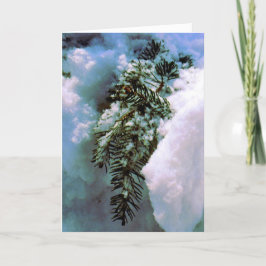 '冬の静物'ホリデーカード – シーズン シーズンカード