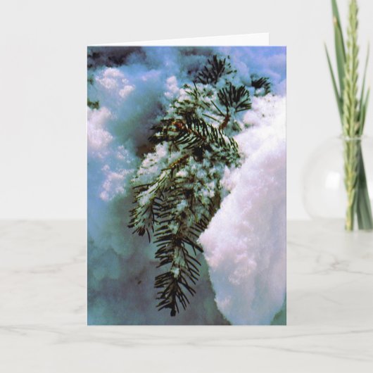 「冬の静物」ホリデーカード - 空白 シーズンカード (正面)