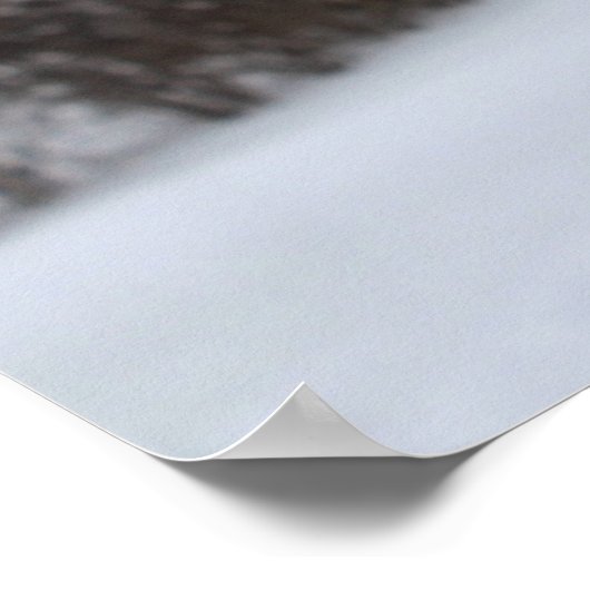 冬の風光明媚な展望台のポスター ポスター (角)